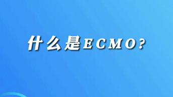 【名醫(yī)面對(duì)面之心臟100問】什么是ECMO？