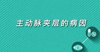 【名醫(yī)面對面之心臟100問】主動(dòng)脈夾層的病因