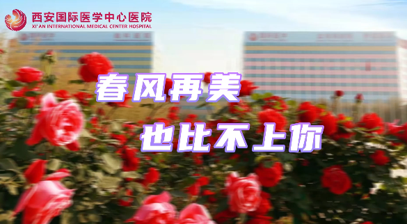 春風(fēng)再美，也比不上你……
