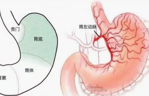 不開(kāi)刀不吃藥不餓肚子，微創(chuàng)介入減肥靠譜嗎？